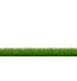 green grass isolated white background vector image vector image