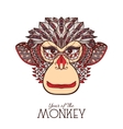 monkey color face vector image
