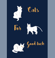 white cats lucky symbols animals in different vector image vector image