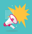 megaphone advertising concept banner flat design vector image vector image