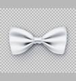 sparkling white bow tie from satin material vector image vector image