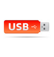 usb key vector image vector image