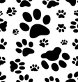 trace of cats vector image