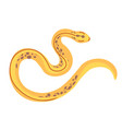 tropical reptiles and serpents yellow snakes vector image