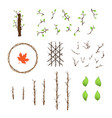 abstract tree branches and leaves vector image