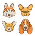 dog faces of various breeds vector image