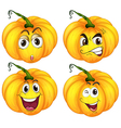 four pumpkins vector image vector image