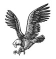 bald eagle with talon claws forward and wings vector image