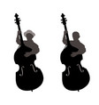 boy standing behind a contrabass vector image