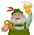 german man vector image