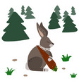 hare with carrot vector image