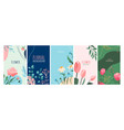 flower background set spring floral vector image