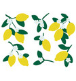 fresh lemons hand drawn set vector image vector image