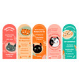 cat shampoo package colorful label design set vector image