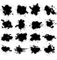 black ink paint splat vector image