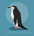 flat chinstrap penguin vector image vector image