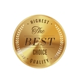 golden badge best choice vector image