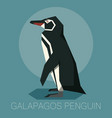 flat galapagos penguin vector image vector image