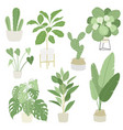 interior home indoor plants set vector image