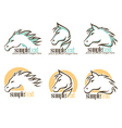 horse logo vector image vector image