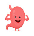 strong healthy happy stomach character vector image vector image