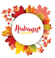 frame with colorful autumn leaves vector image