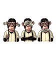 three wise monkeys not see not hear not speak vector image