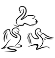 abstracts swans vector image