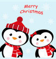 christmas card with two penguins vector image