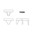 thong panties for woman vector image