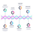 abstract dna molecule business infographic vector image vector image