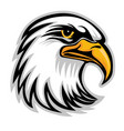 hawk eagle head usa logo mascot 05 vector image