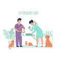 vet doctor with animals veterinarians work vector image