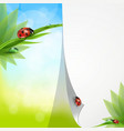 natural background vector image