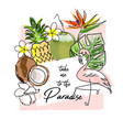tropical summer background with cute cartoon items vector image vector image