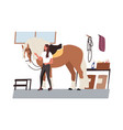 young horsewoman taking care domestic animal vector image