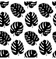 botanical of monstera leaf vector image vector image