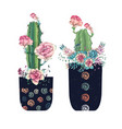 succulents cacti hand drawn on a white background vector image vector image