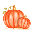 watercolor orange pumpkins vector image vector image