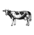 hand-sketched cow graphic hand-drawn sketch retro vector image vector image