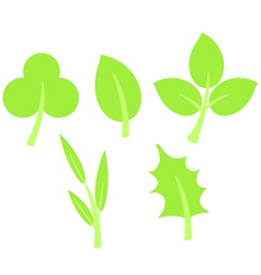 Spring fresh green leaves Royalty Free Vector Image