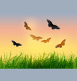 landscape with grass sunrise sky and butterflies vector image vector image