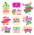 mardi gras vector image vector image
