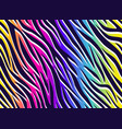 zebra rainbow abstract seamless pattern colorful vector image
