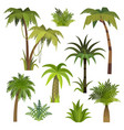 cartoon palm tree jungle trees with green vector image vector image