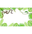 summertime banner with tropical leaves exotic vector image