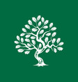 huge and sacred oak tree silhouette logo vector image