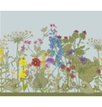 seamless floral border vector image