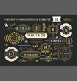 vintage typographic decorative ornament design vector image vector image