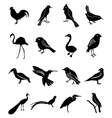 birds icons set vector image
